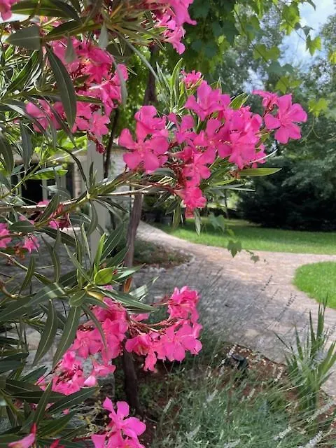 Villa Stancia Cicada- At Home In Istria Žminj Hırvatistan
