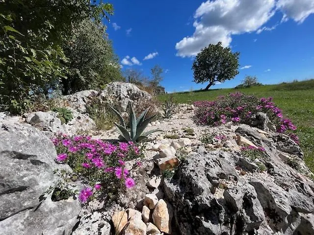 Villa Stancia Cicada- At Home In Istria Žminj